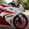 Elegant Sporty Ninja 250R
